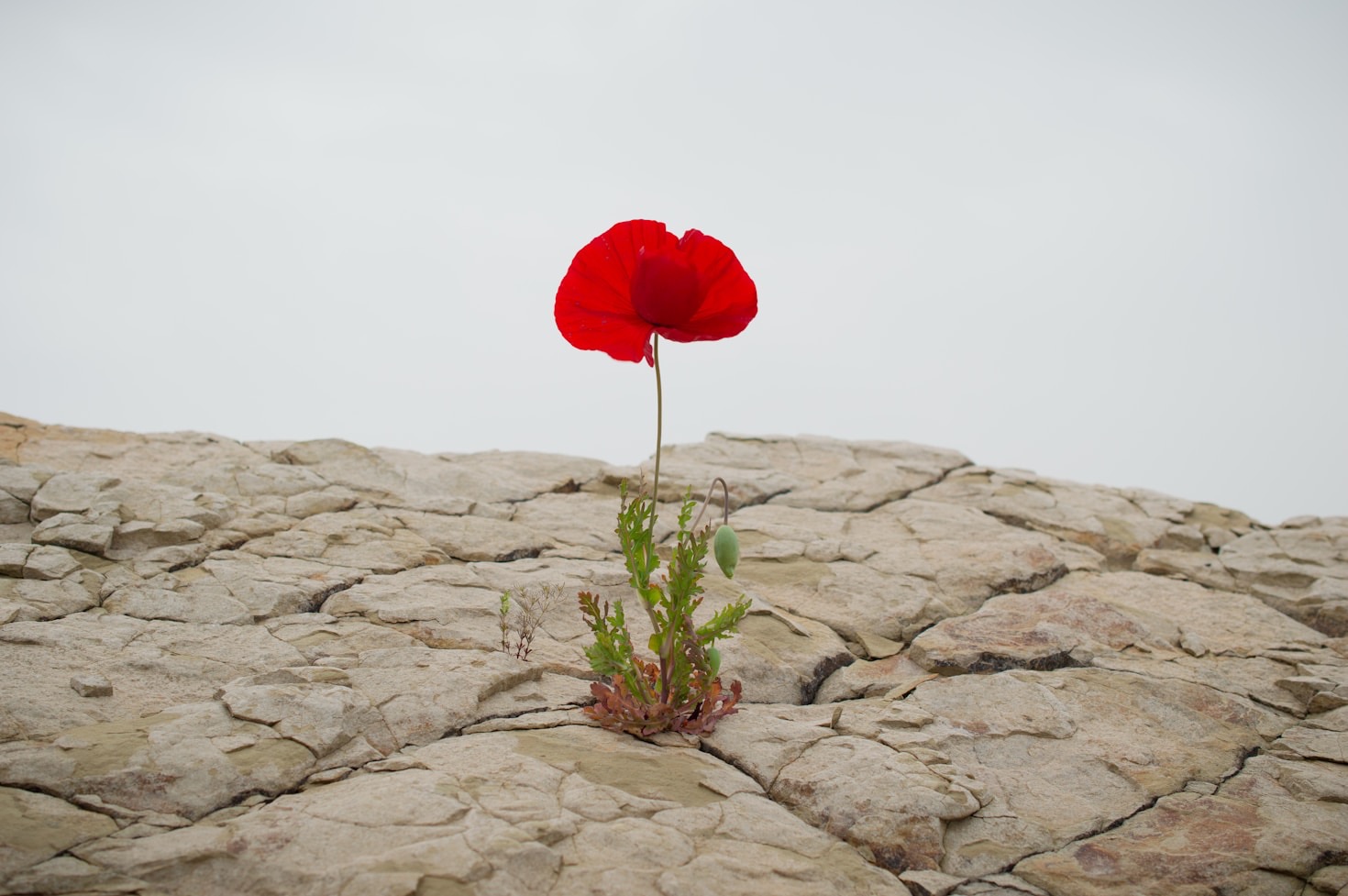 Embracing Change with Courage and Grace